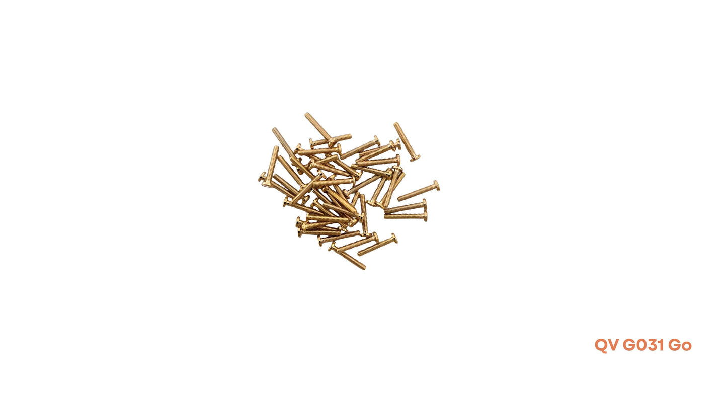 Schroef ⌀1.4x10 mm