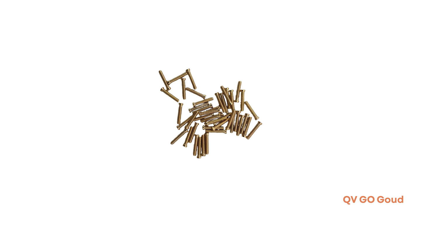 Screw ⌀1.3x8 mm